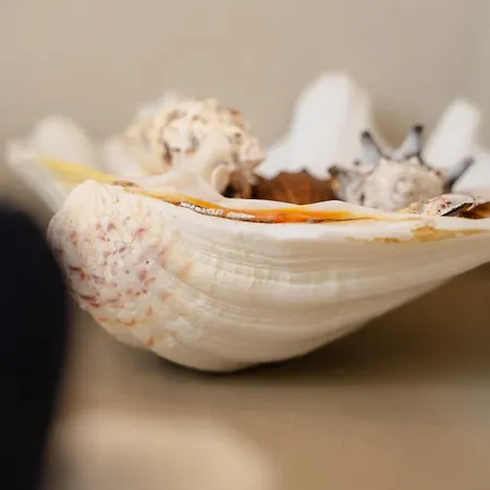 Appartement Naxos Joya