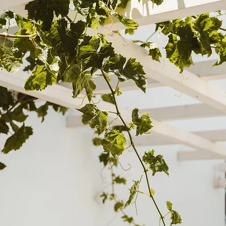 Naxos Joya * Naxos City