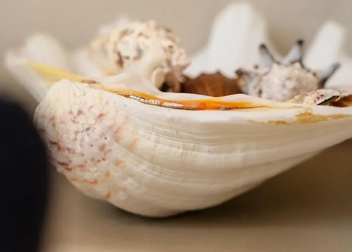 Apartment Naxos Joya